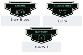 Gas Gas ECC 5 Carbonio GX AXS